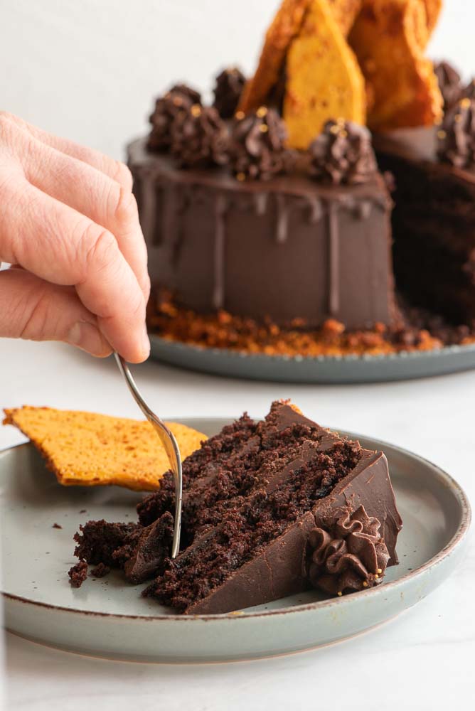 Chocolate Fudge Cake –3